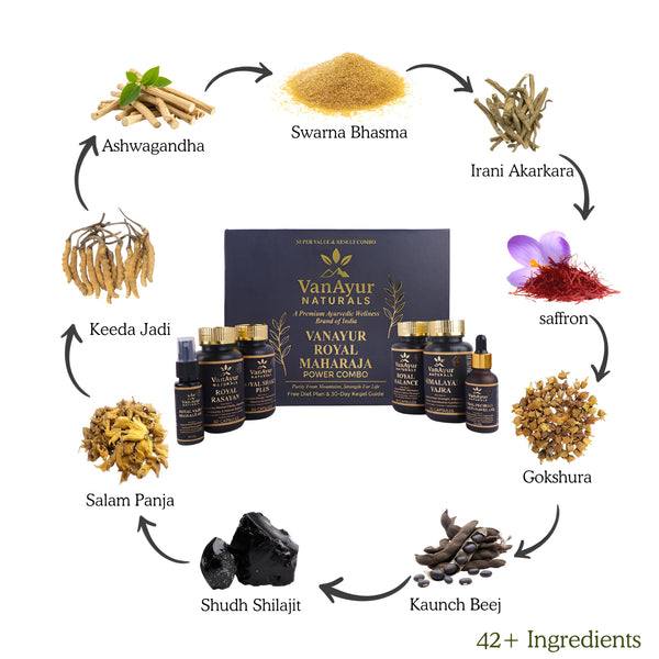 VanAyur Royal Maharaja Power Combo – Ayurvedic Strength, Stamina & Performance Kit for Men